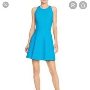 Alice and Olivia T-back fit and flare dress